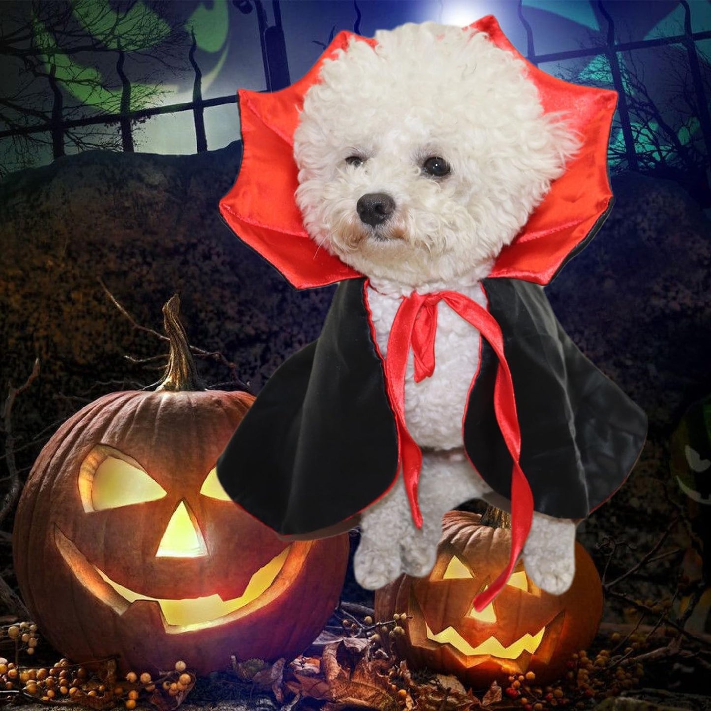 Cute Halloween Pet Costumes Cosplay Vampire Cloak
