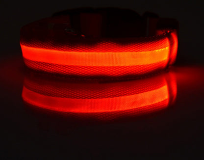 Nylon LED Pet Dog Luminous Collar Night Safety Flashing Glow in Dark