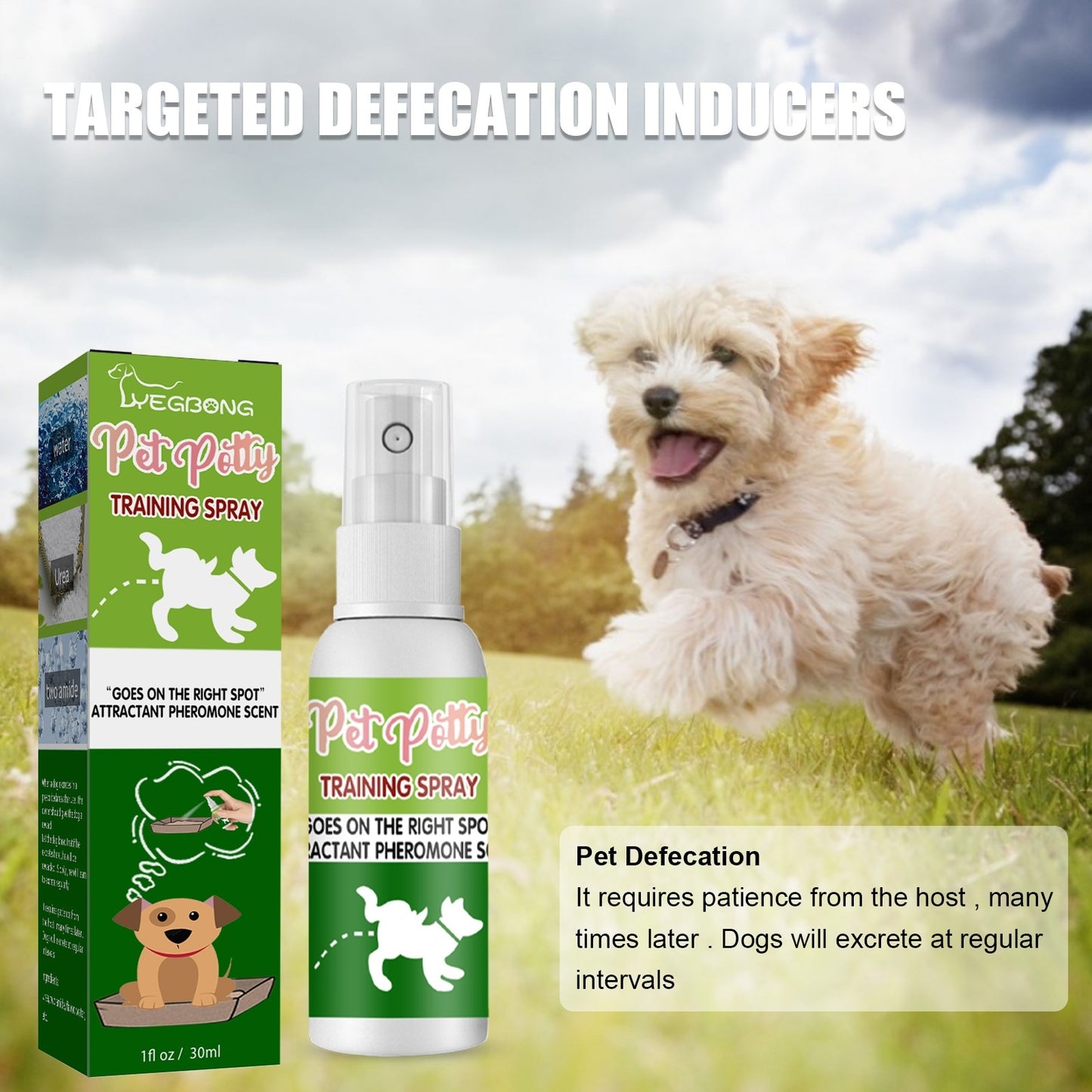 Pet Targeted Defecation Inducer Auxiliary Training Pet