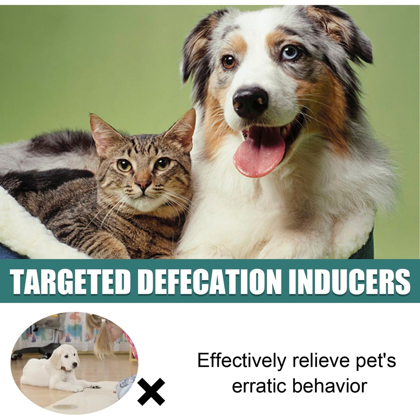 Pet Targeted Defecation Inducer Auxiliary Training Pet