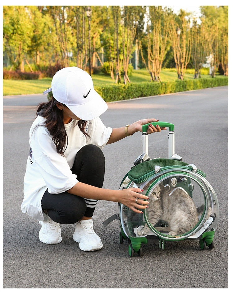 Small Pet Trolley Bag Portable Dog Diaper Bag Transparent