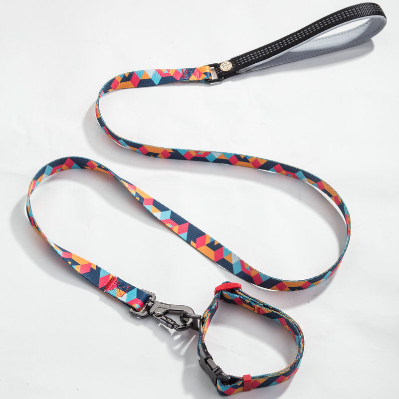 Pet leash collar