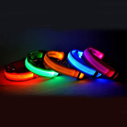 Nylon LED Pet Dog Luminous Collar Night Safety Flashing Glow in Dark