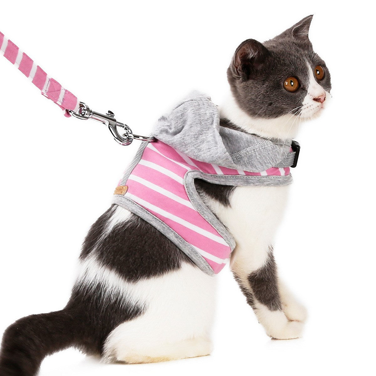 Cat hooded vest outing chest harness