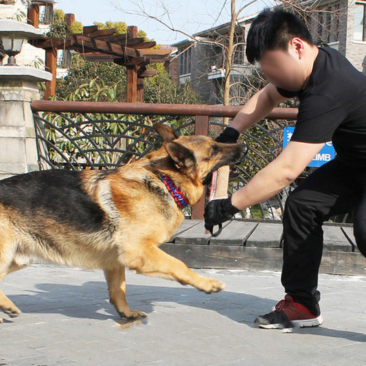 Biting Dog Training Professional Working Dog