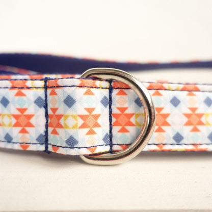 Pet leash dog collar leash