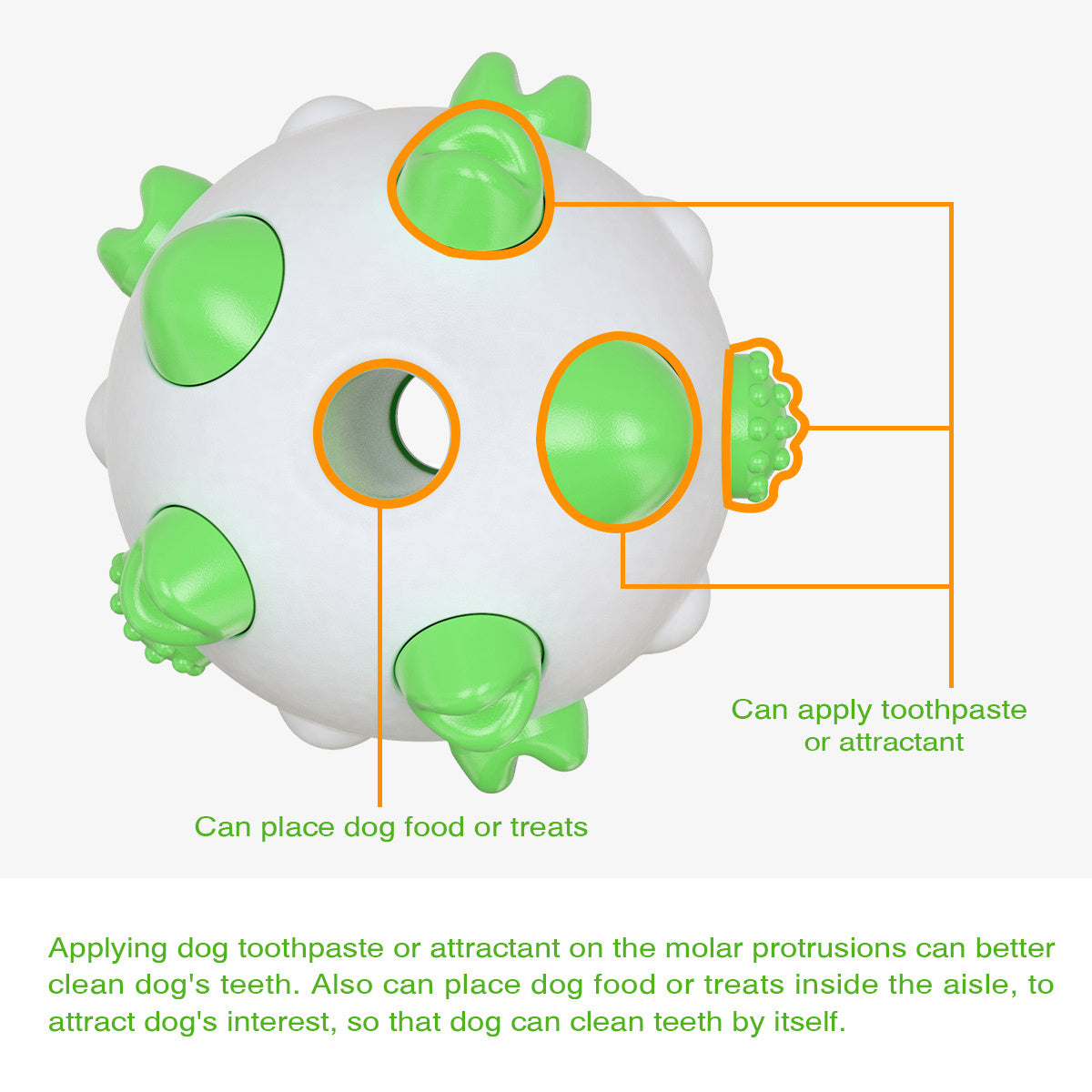 Spherical dog toy molar rod