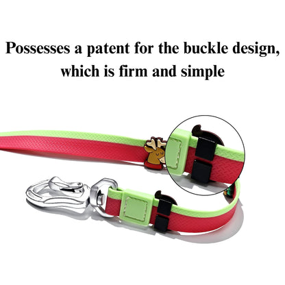 The New Dual-Color Embossed Pet Leash Set