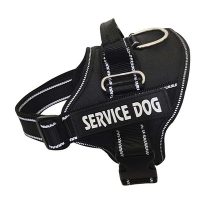Personalization Of Pet Chest Strap Products
