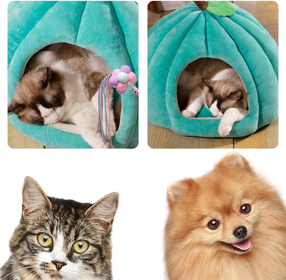 New Pumpkin Cat Bed Cat Beds For Indoor Cats Cute Pumpkin