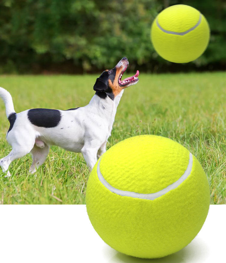 Tennis Pet Toy Inflatable Training Rubber Big Ball