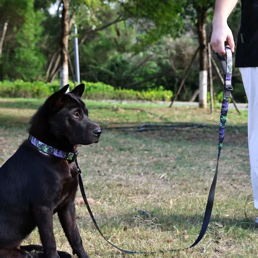 UV Printing Camouflage Embossed Pet Leash Set