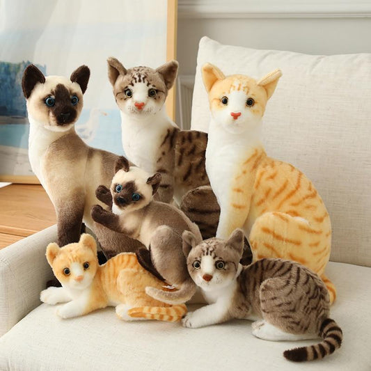 Cat Plush Toys