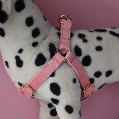 Flannelette Model Dog Harness Pet Supplies