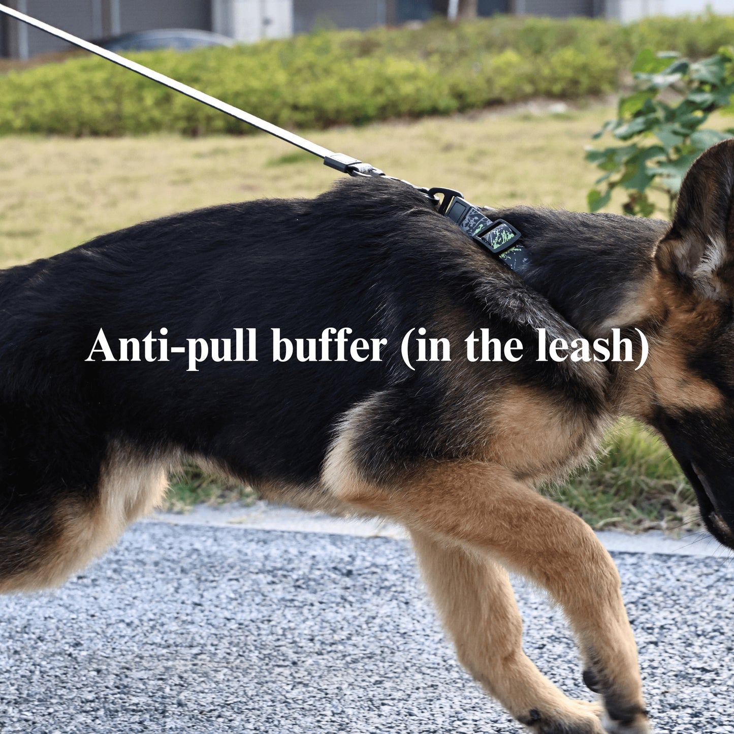 UV Printing Camouflage Embossed Pet Leash Set