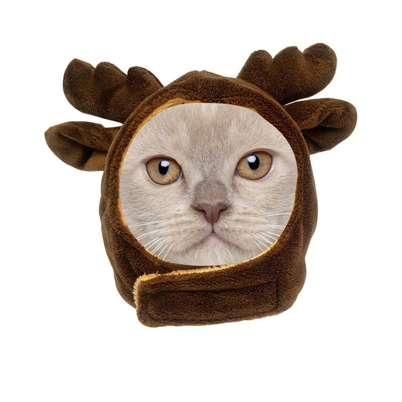 Cartoon-Shaped Dog Headgear Cat Hat Cross-Dressing