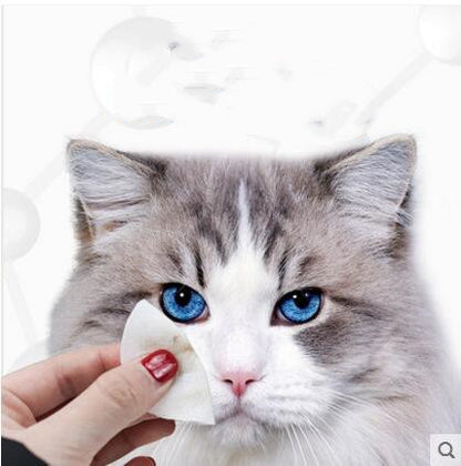Wet Wipes for Cats to Remove Tears
