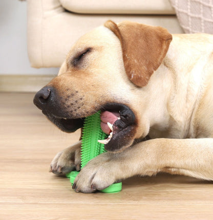 New Dog Toy Teeth Molar Stick Leak Feeder