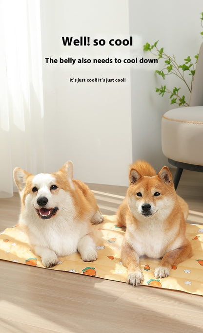 Ice Pad Dog Cool Feeling Ice Mat Gel Ice Kennel Waterproof