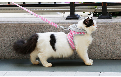 Cat hooded vest outing chest harness