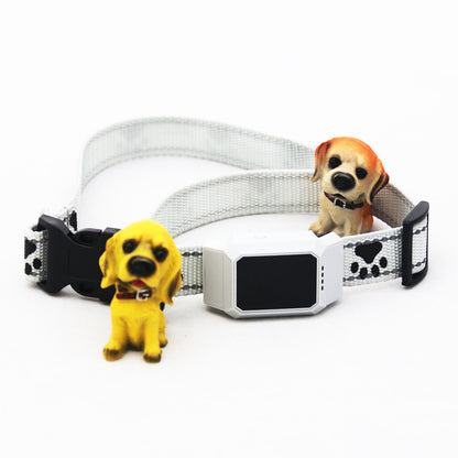 Pet collar locator