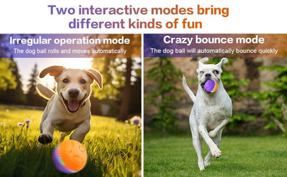 Interactive Dog Toys Ball, Automatic Rolling Toy, Lively Pet Ball