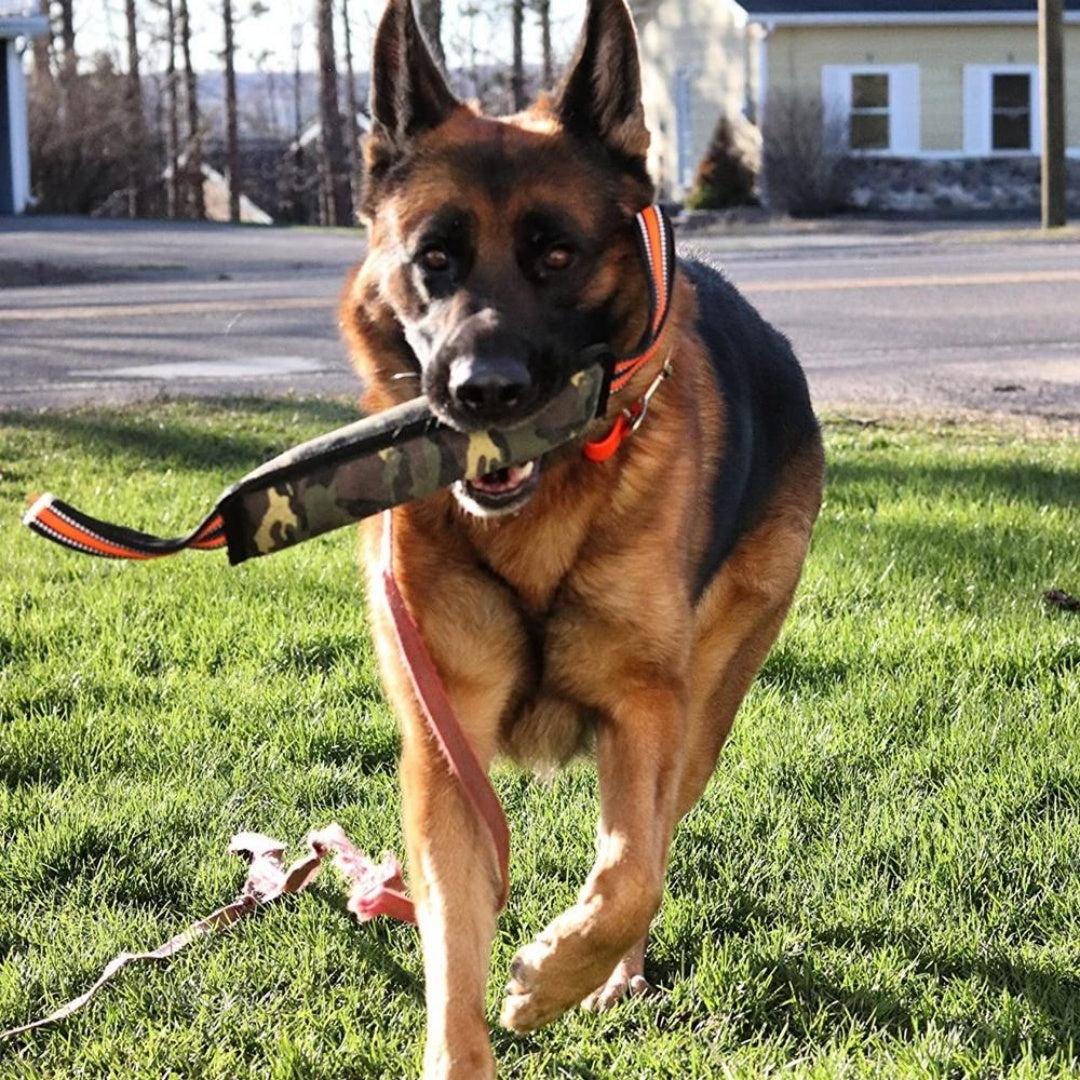Reflective Dog Training Jute Yellow Edge Bite Stick