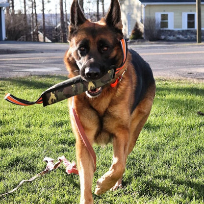 Reflective Dog Training Jute Yellow Edge Bite Stick