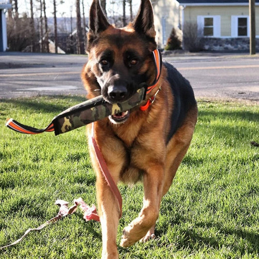 Reflective Dog Training Jute Yellow Edge Bite Stick