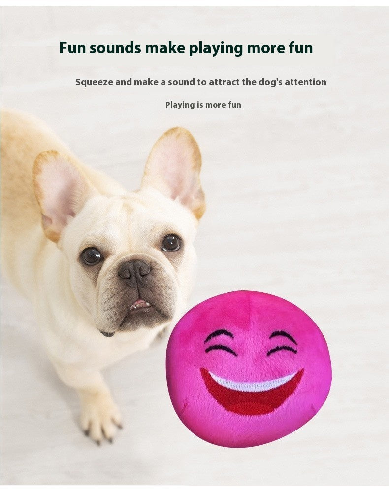 Pet Puzzle Bite-resistant Puppy Training Vocal Ball