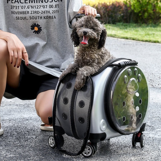 Small Pet Trolley Bag Portable Dog Diaper Bag Transparent