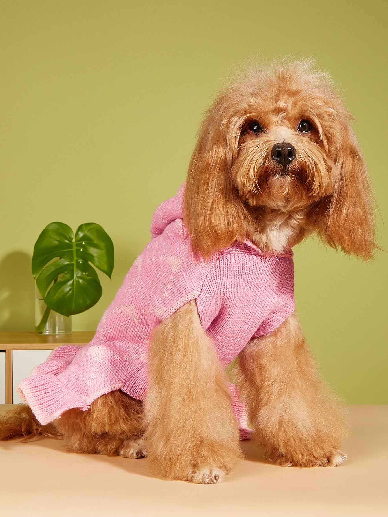 Small Dog Sweater Hoodies Dress Winter Knit Cute Clothing