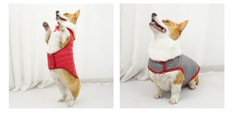 Winter Anti-lint Pet Winter Clothes Small And Medium Dogs