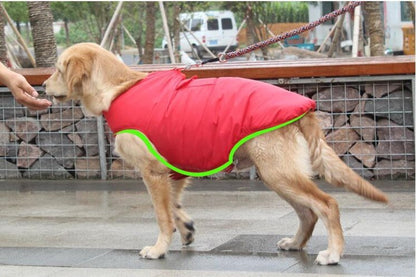 Winter Cotton Coat Pet Dog Clothes