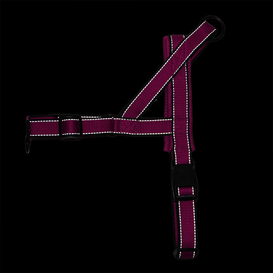 Pet outdoor chest harness traction rope