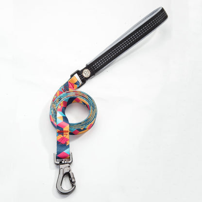 Pet leash collar