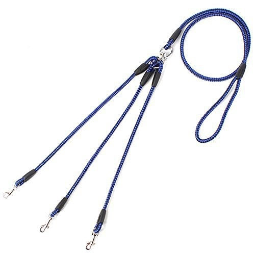 One for three pet leash