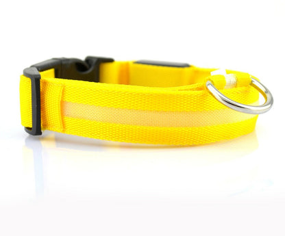 Nylon LED Pet Dog Luminous Collar Night Safety Flashing Glow in Dark