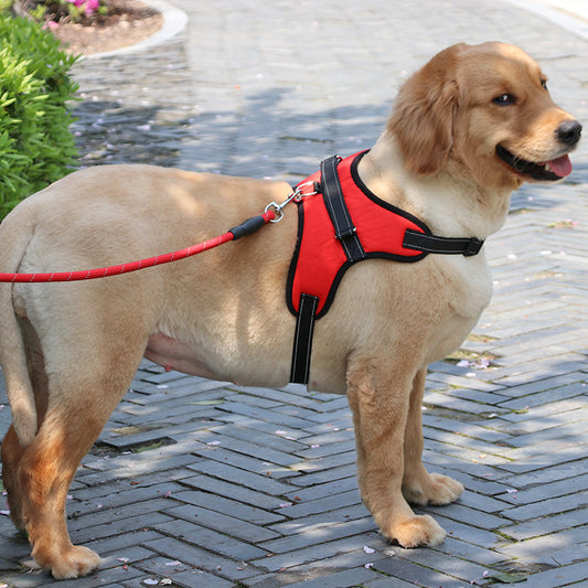 New Nylon Medium Large Dog Harness Collar K9 Padded Extra Reflective Collar