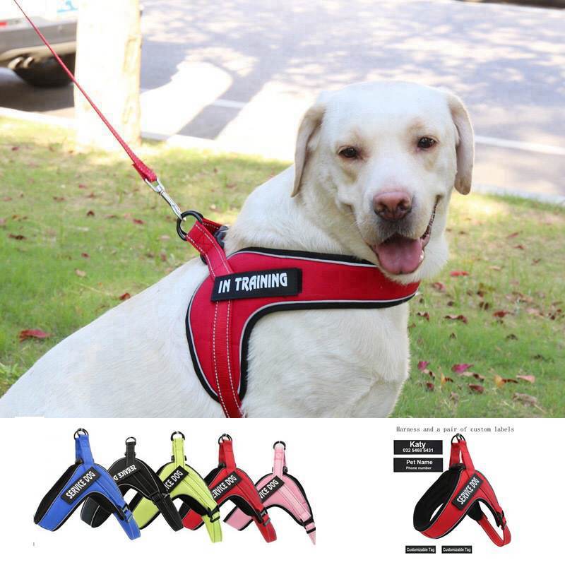 Custom Breathable Harness Vest for Dog with Reflective Strip