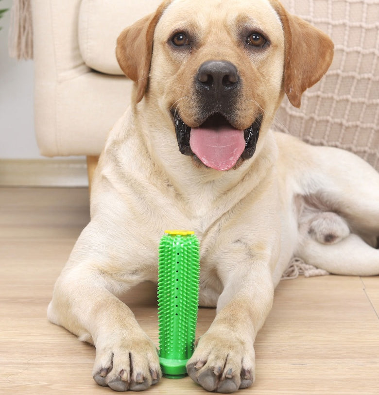 New Dog Toy Teeth Molar Stick Leak Feeder