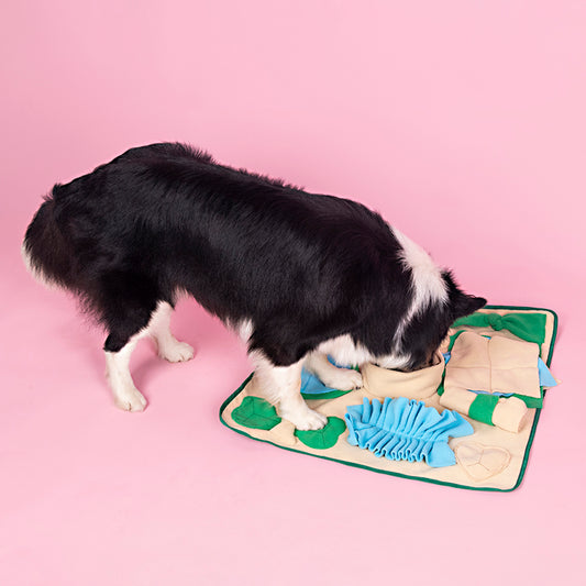 Snuffle Mat for Dogs, Nosework Feeding Blanket Sniffing Pad