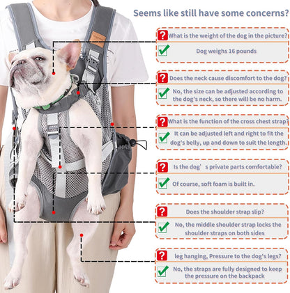 Portable Breathable Cat Pet Carrier Backpack For Outdoor