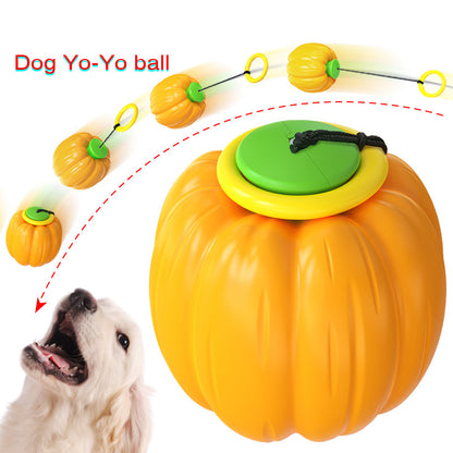 Pet Toy Small Dogs Squeaker Dog Training Ball Dog MolarToy