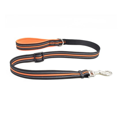 Dog Leash Nylon Leash Assisted Retractable