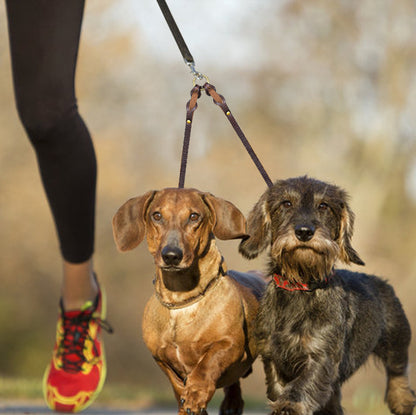 Cowhide Rope Double Hook Traction Two Dogs