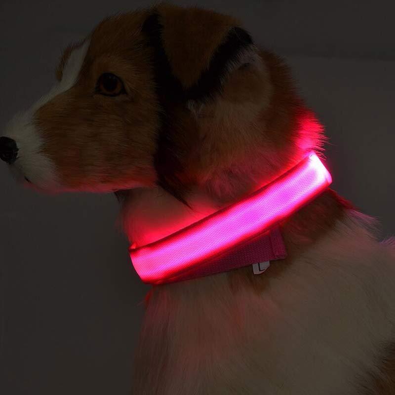 Nylon LED Pet Dog Luminous Collar Night Safety Flashing Glow in Dark