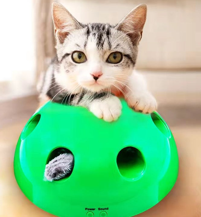 Cat Toy Funny Cat Interactive Toy At Scratching Device