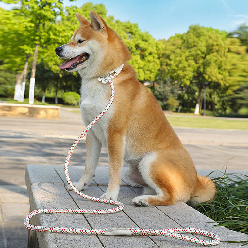 Dog Rope Pet Pulling Rope Puppy Strap Traction Rope