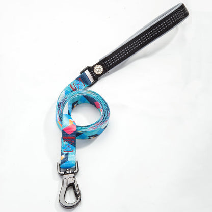 Pet leash collar